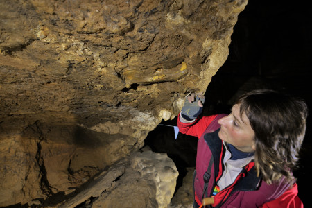 Bones of cave bear Foto:Gašper Modic