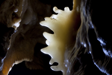 Bozkov Dolomite Caves