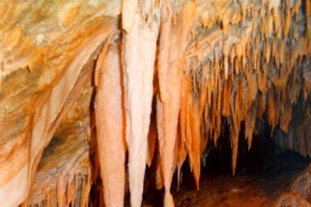 Jenolan Caves