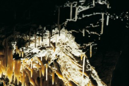 Grotta del Vento - Stalactites