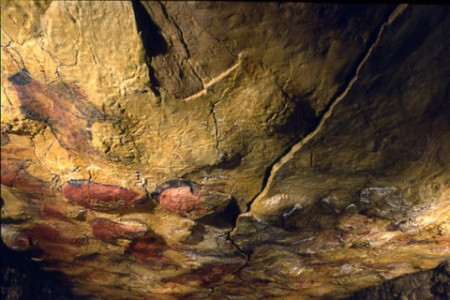 MdA - View of the Neocave of Altamira 1- Foto Museo de Altamira y P Saura