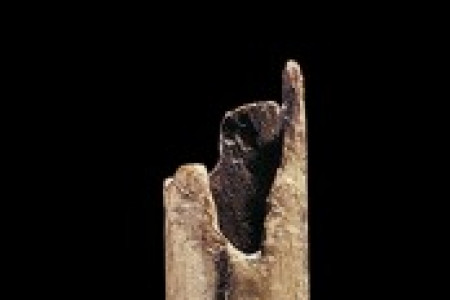 Flute - 31000 BC