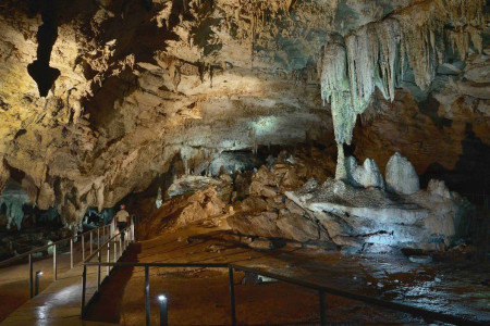 Francois Leguat Cave Reserve